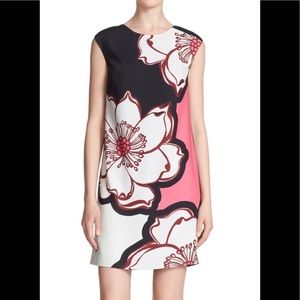 Ted Baker Dress
